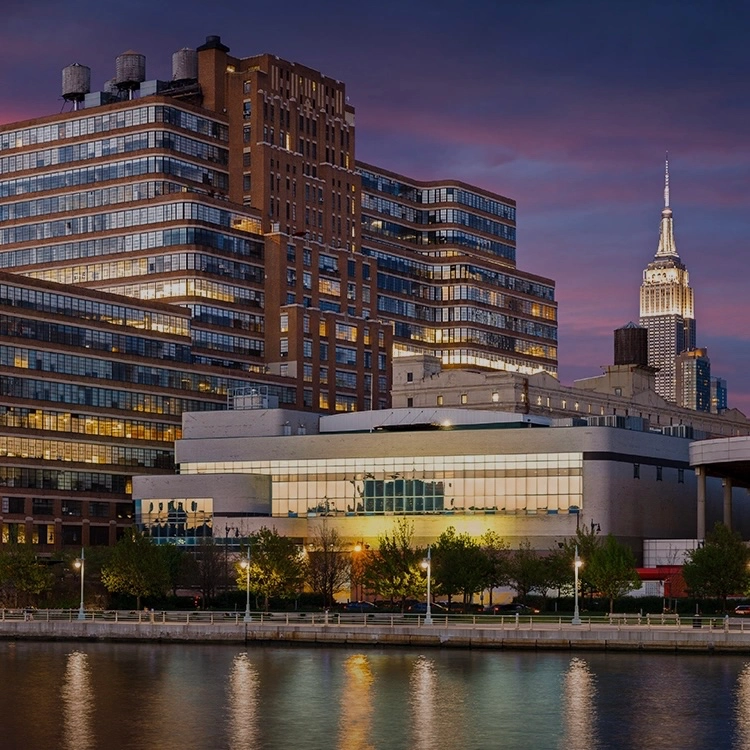 The Chelsean New York Hotel