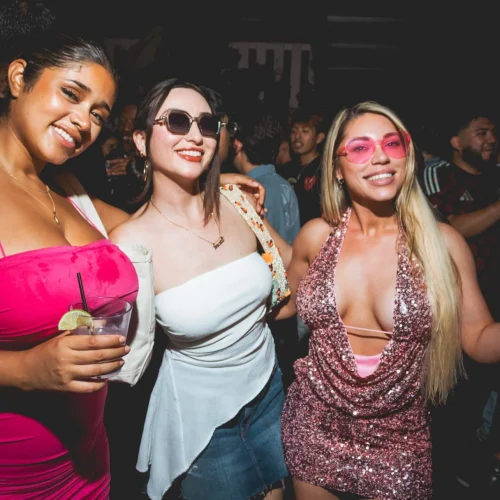 Brooklyn New York clubs